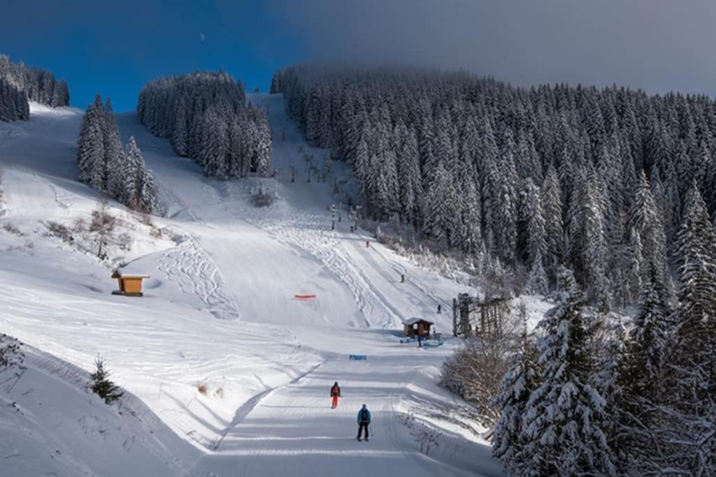 Dans Residence Neuve Le Snow Roc Sur Les Pistes, Grand Studio Cosy 5 Pers Avec Terrasse Panoramique, Sauna, Wifi Saint-Jean-dʼAulps 외부 사진