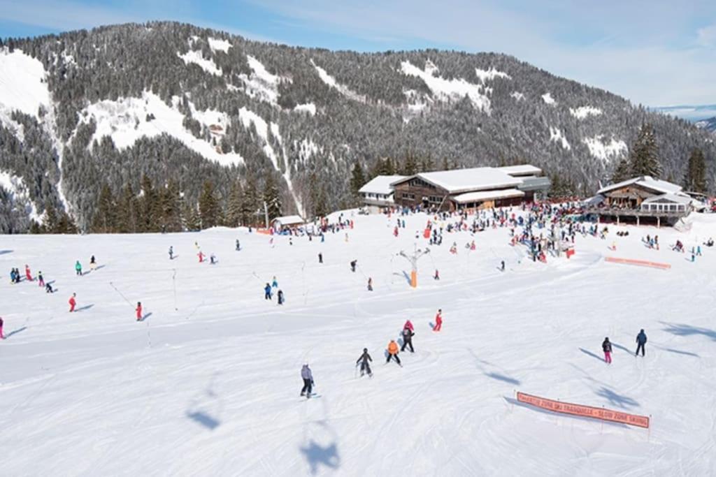 Dans Residence Neuve Le Snow Roc Sur Les Pistes, Grand Studio Cosy 5 Pers Avec Terrasse Panoramique, Sauna, Wifi Saint-Jean-dʼAulps 외부 사진